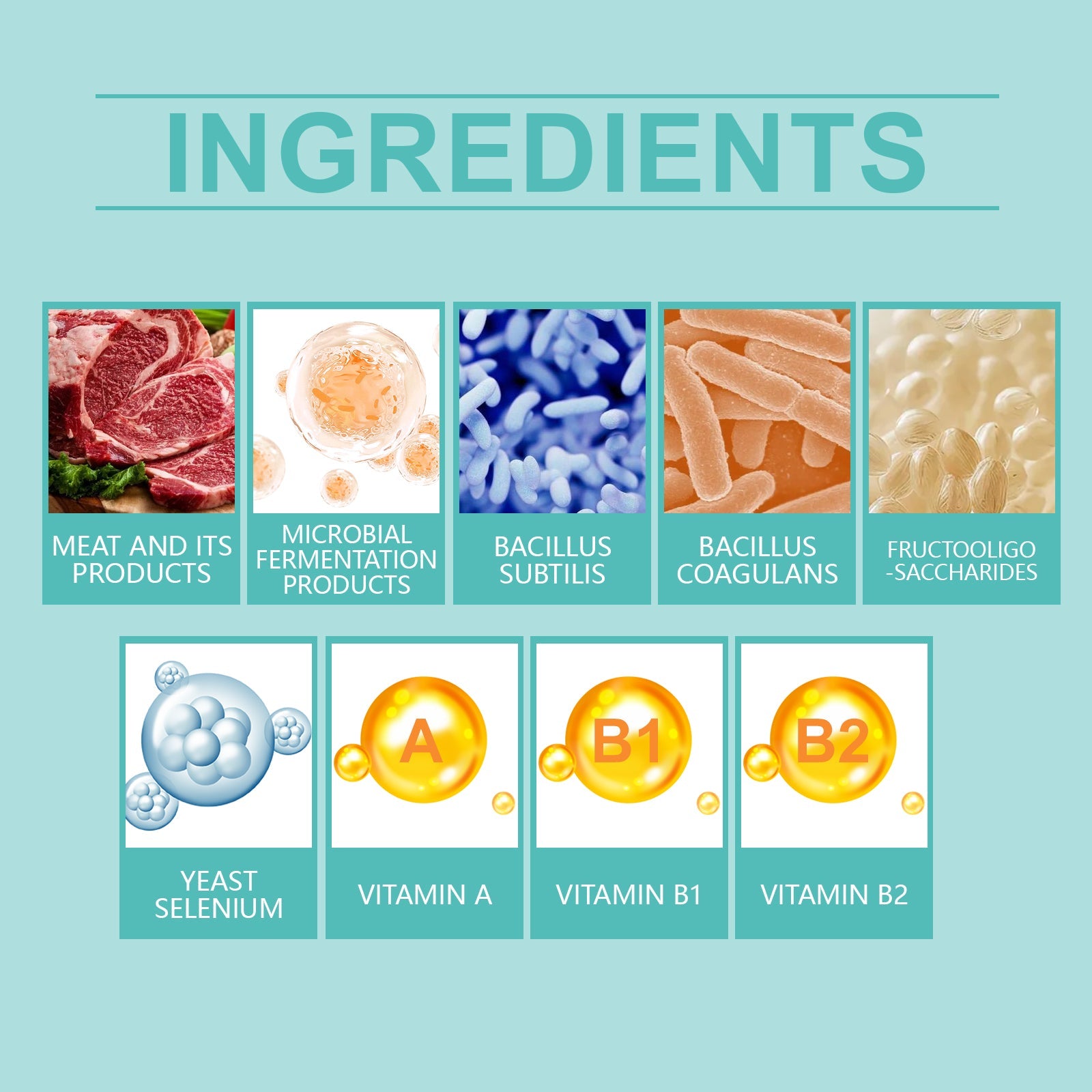 Cat Probiotic Tablets Support Intestinal Health Improve Digestion Absorption