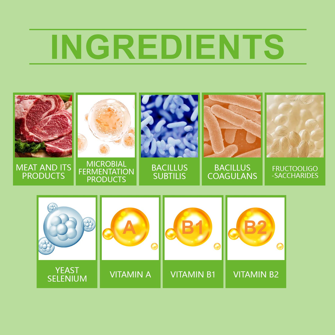 Pet Probiotic Tablets Improve Gut Health Support Nutritional Absorption