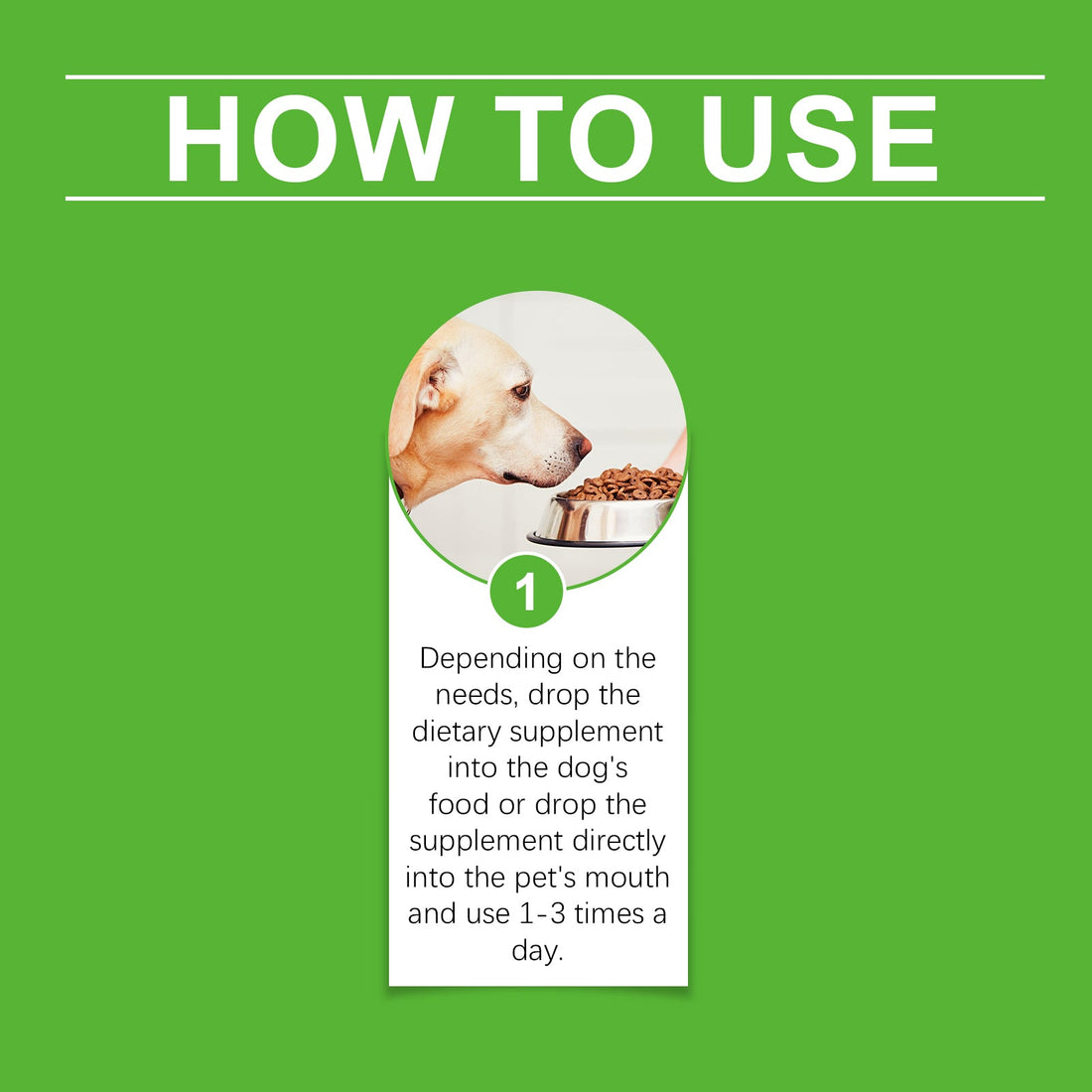 Dietary Supplements for Dogs Promote Health and Overall Wellness Support