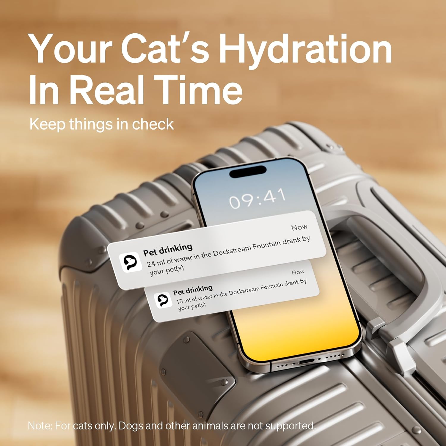 Dockstream Wireless Water Pump App Cat Fountain Smart Stainless Steel