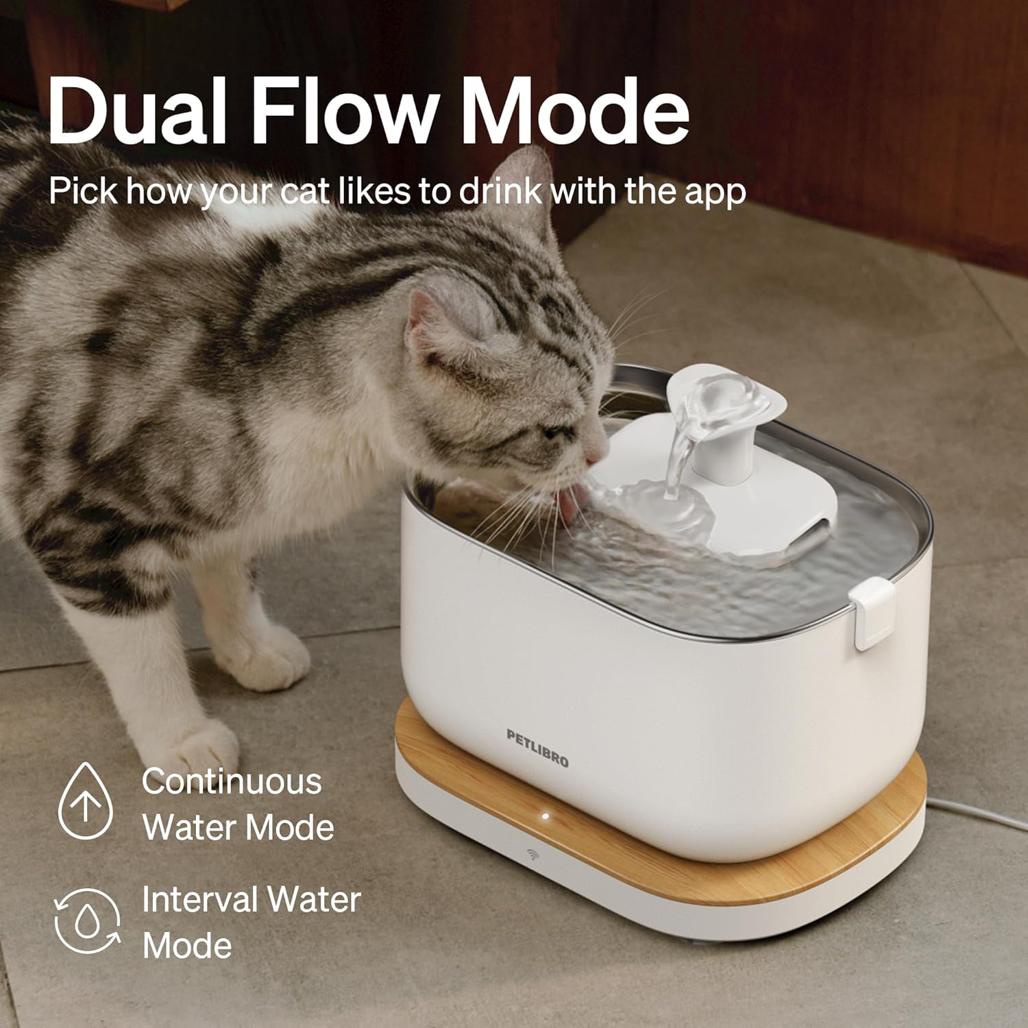 Dockstream Wireless Water Pump App Cat Fountain Smart Stainless Steel
