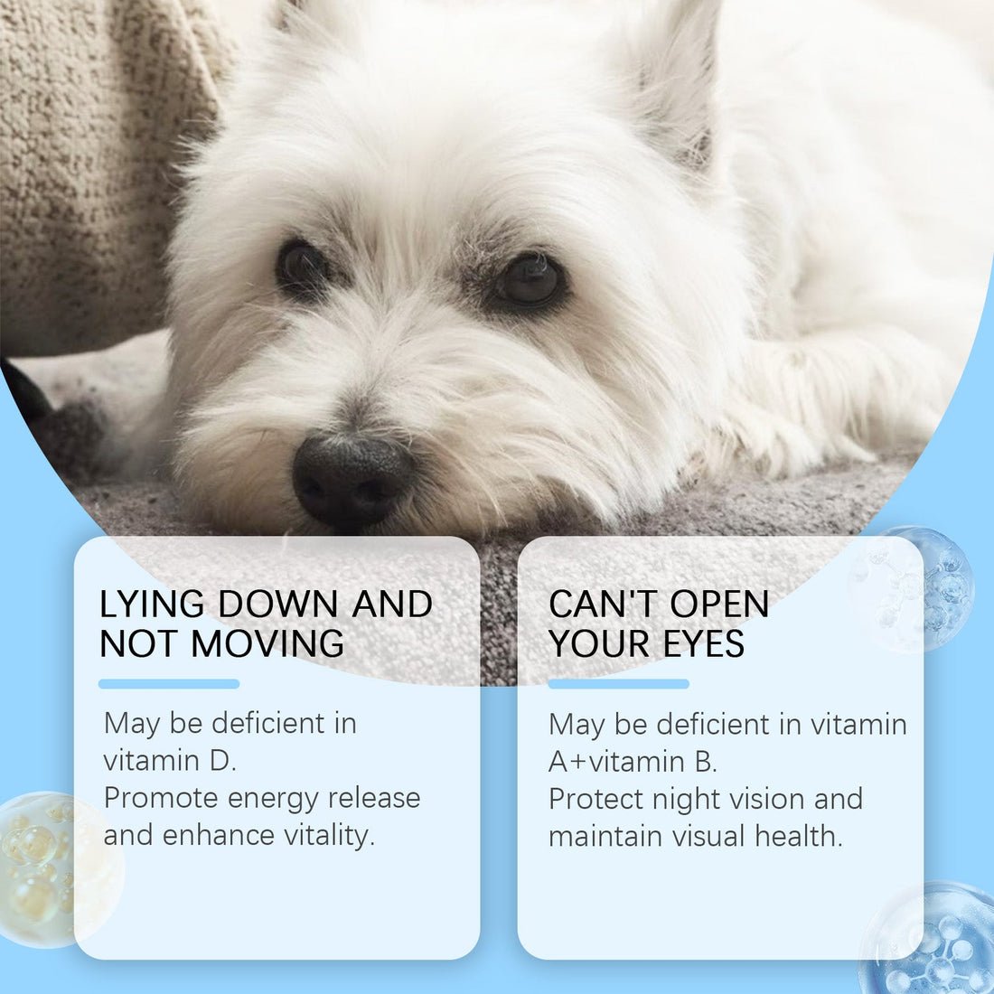 Multivitamin Tablets for Dogs Cats Support Nutritional Health Daily