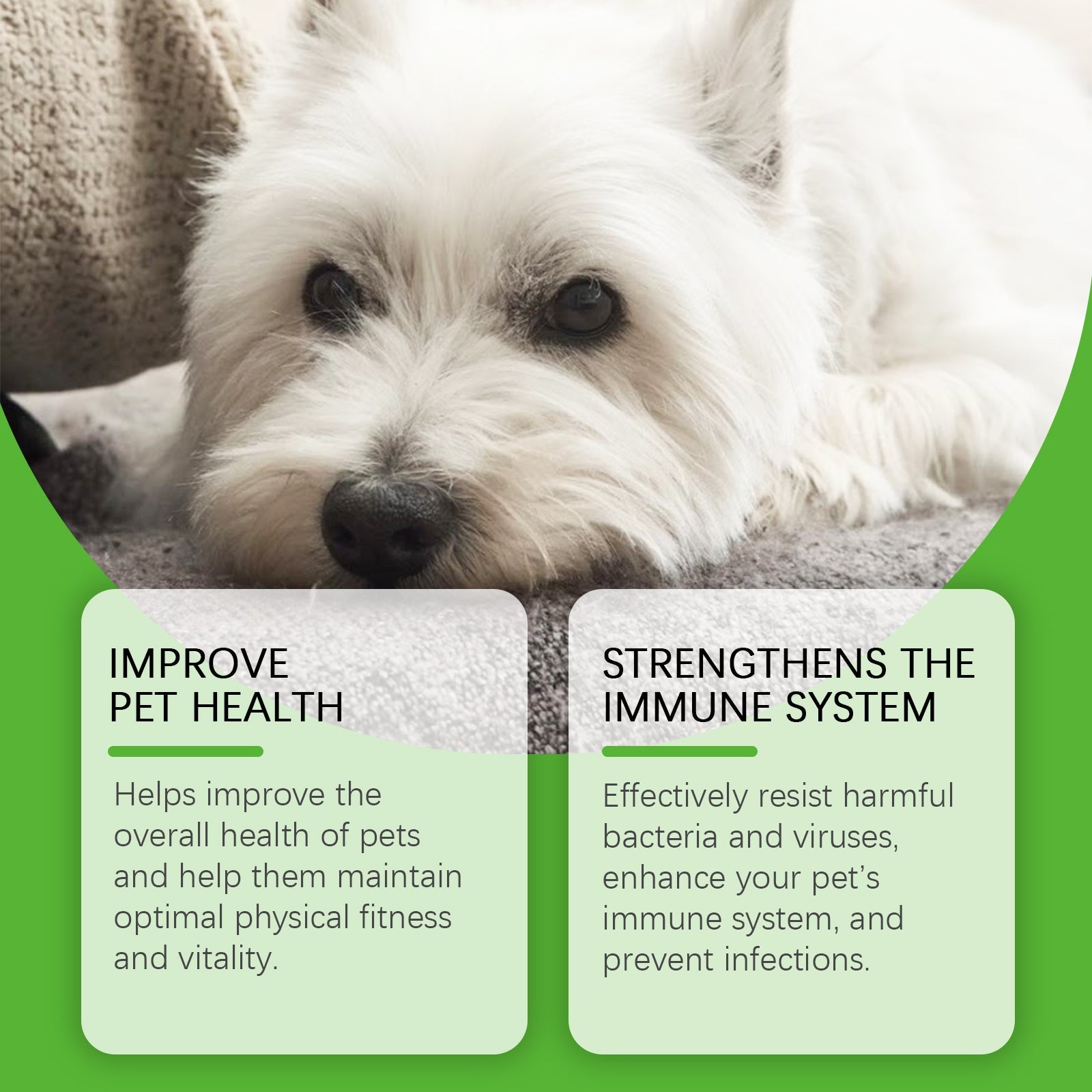 Dietary Supplements for Dogs Promote Health and Overall Wellness Support