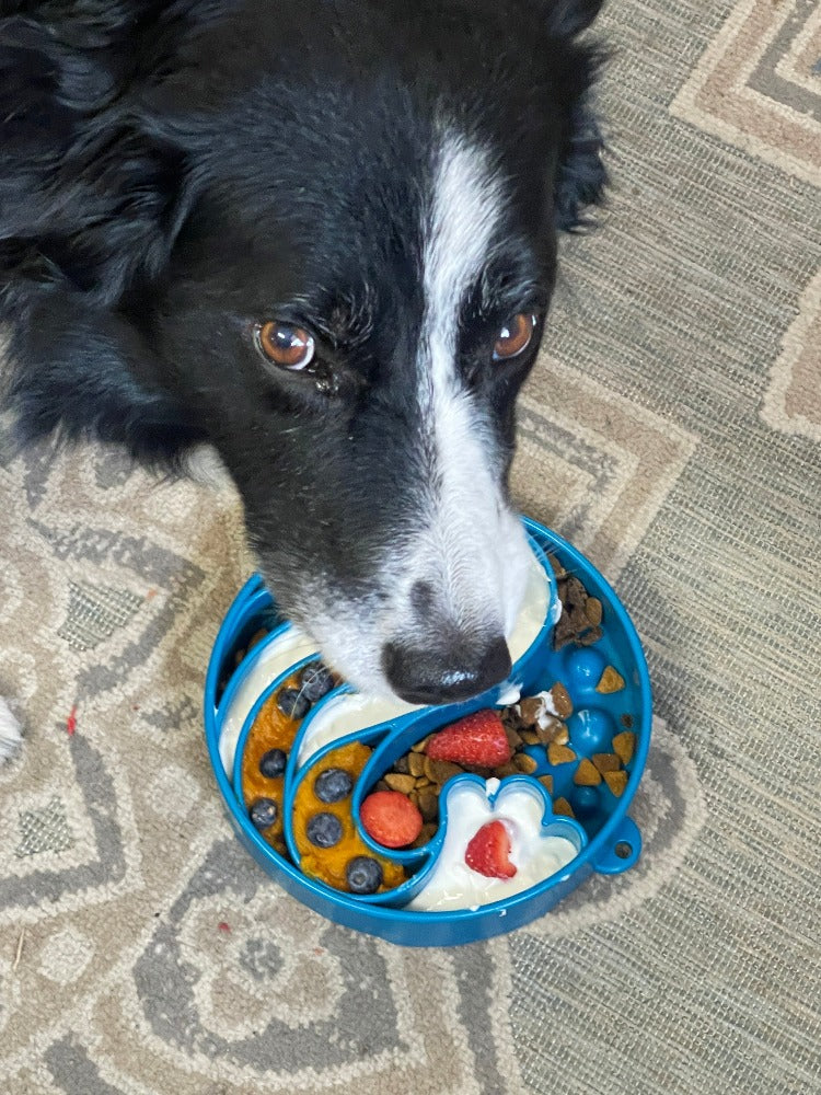 Wave eBowl Deep Slow Feeder Dog Bowl Enrichment Made USA