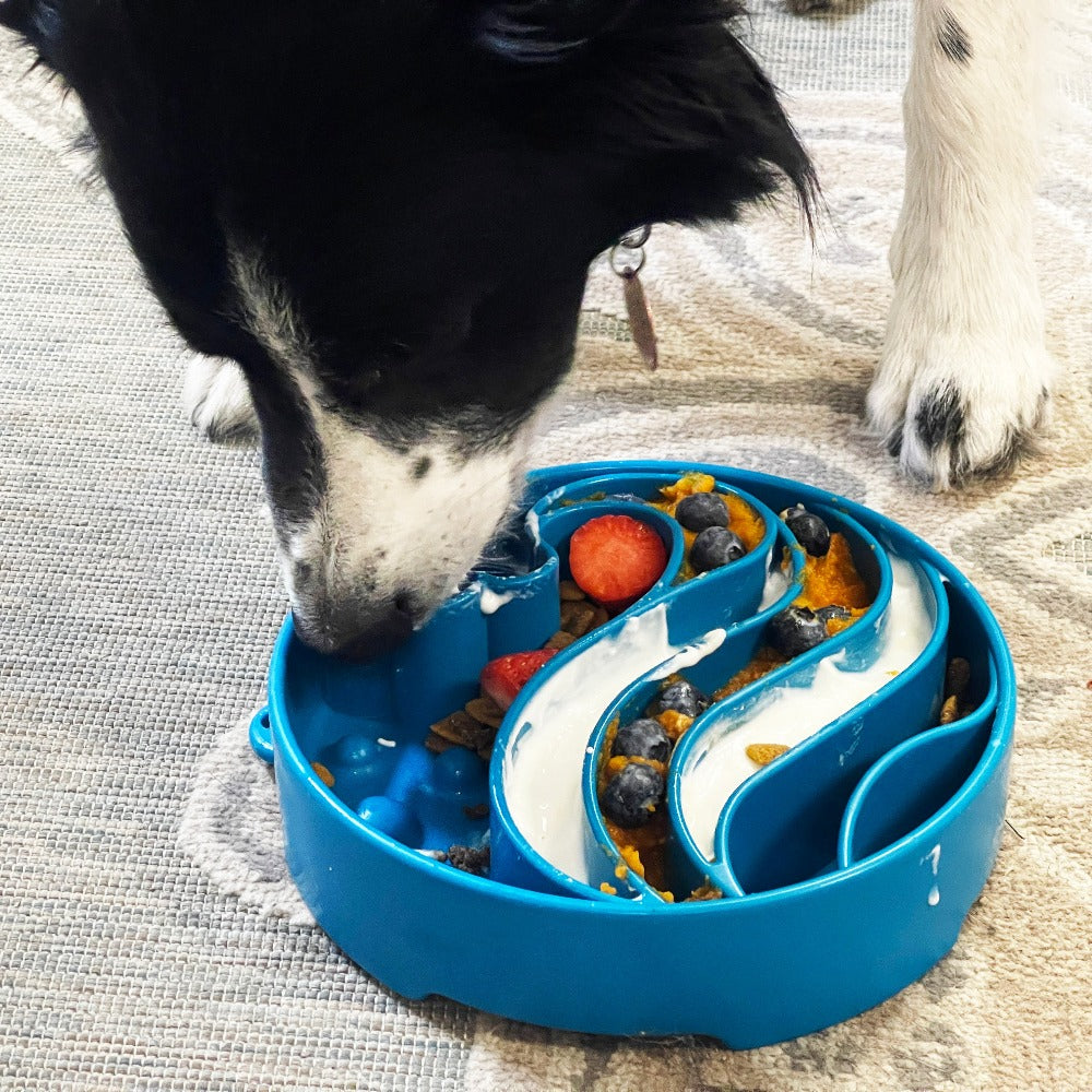 Wave eBowl Deep Slow Feeder Dog Bowl Enrichment Made USA
