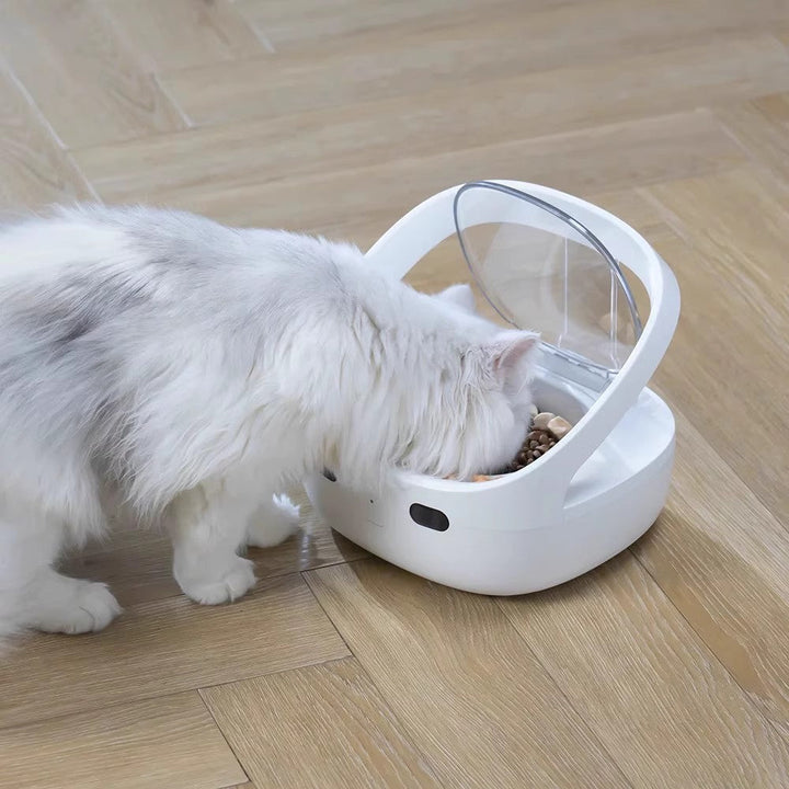Smart Pet Feeder Prevent Stealing Accurate