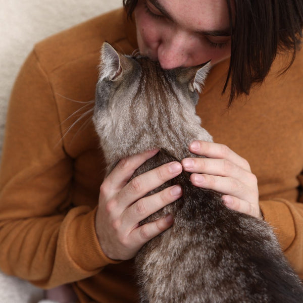 Person in a brown sweater petting a gray cat