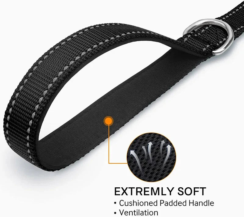 Reflective Pet Leash – Adjustable Polyester Lead Strap