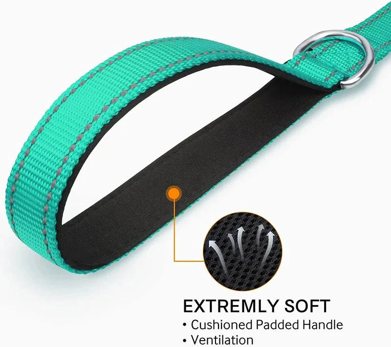Reflective Pet Leash – Adjustable Polyester Lead Strap