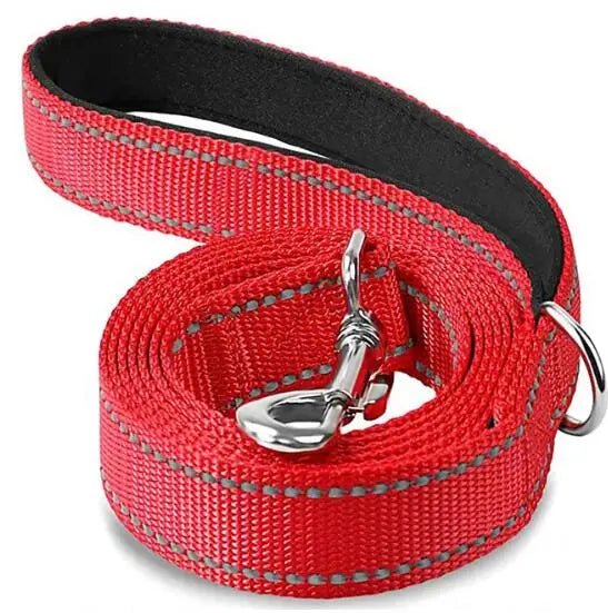 Reflective Pet Leash – Adjustable Polyester Lead Strap