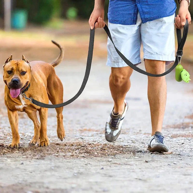 Reflective Pet Leash – Adjustable Polyester Lead Strap