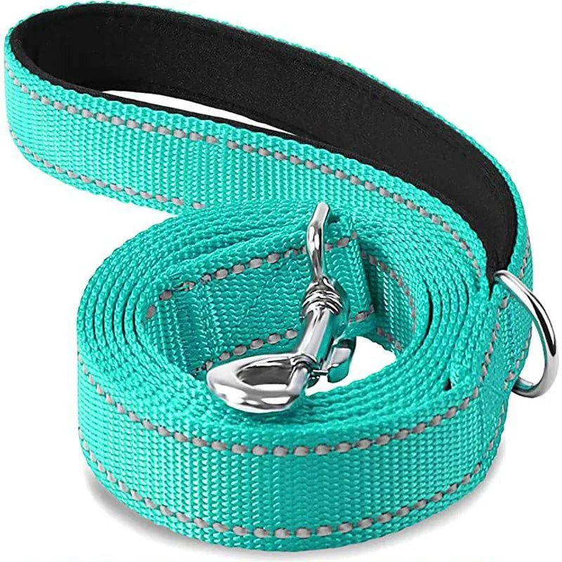 Reflective Pet Leash – Adjustable Polyester Lead Strap