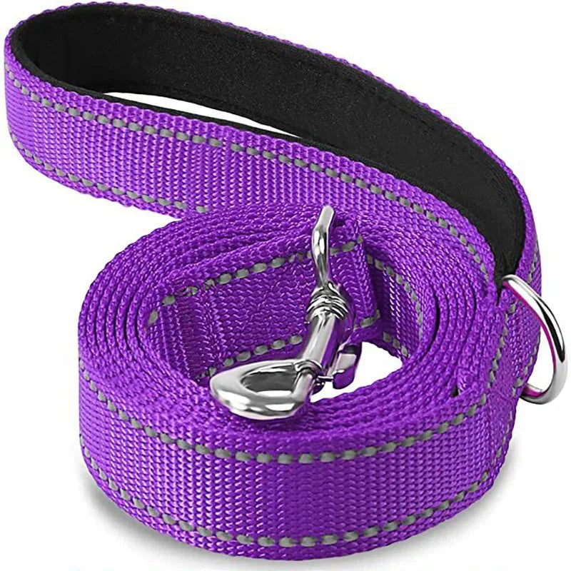 Reflective Pet Leash – Adjustable Polyester Lead Strap