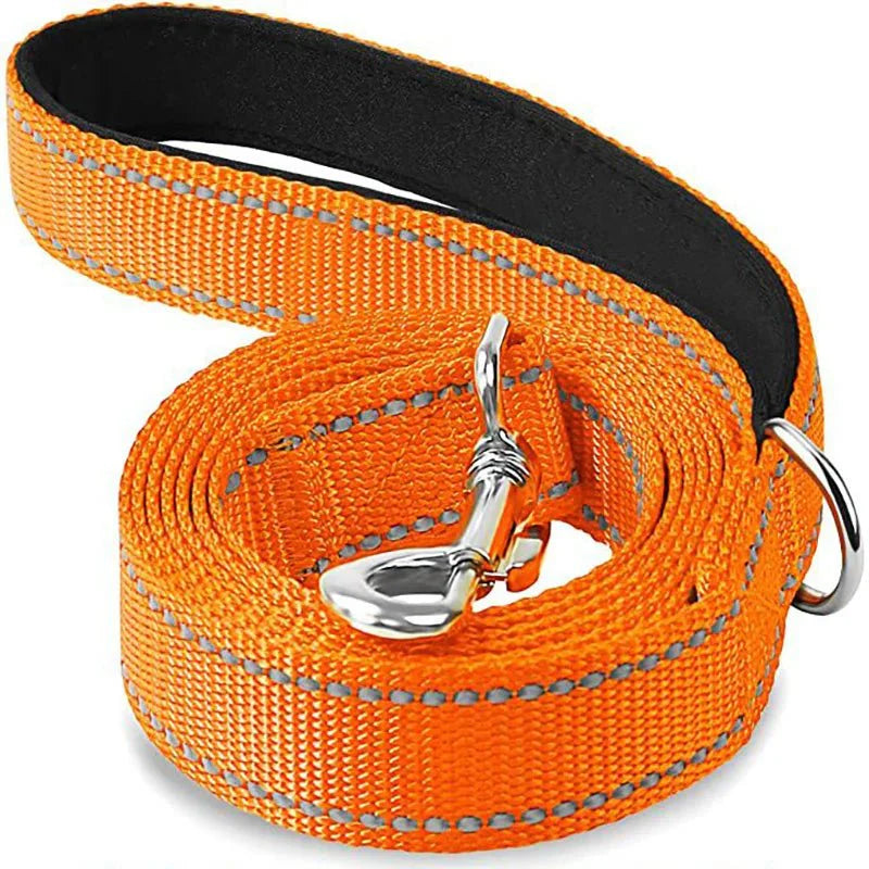 Reflective Pet Leash – Adjustable Polyester Lead Strap