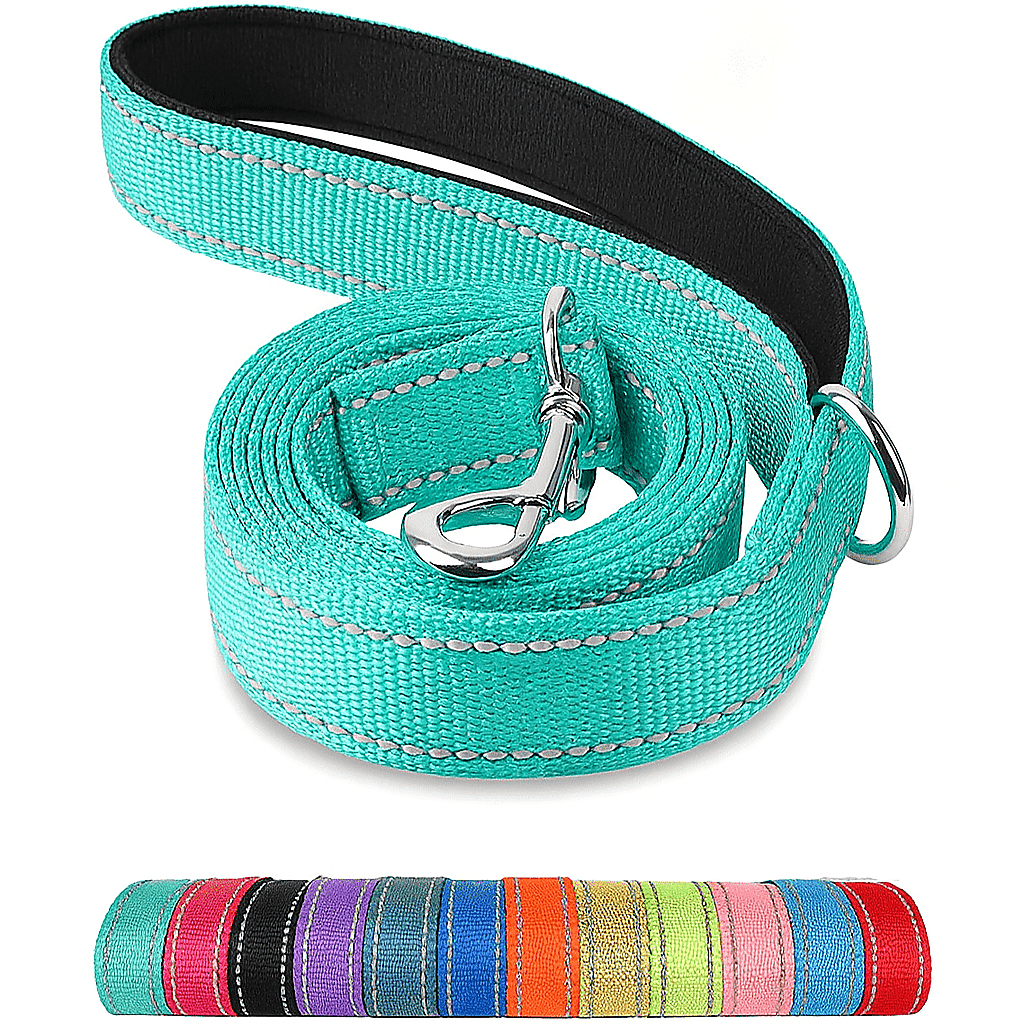 Reflective Pet Leash – Adjustable Polyester Lead Strap
